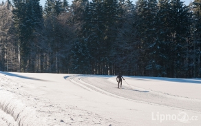 Fotografie bezky-lipno-3_original.jpg