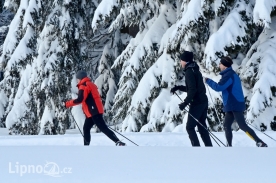 Fotografie bezky-lipno_original.jpg