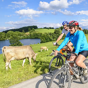 Image result for cyklistika lipno
