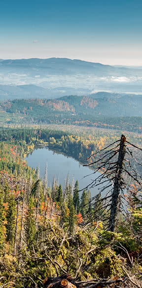 Plešné jezero