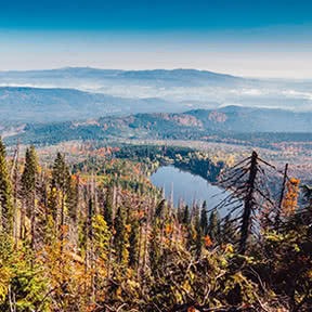 Plešné jezero